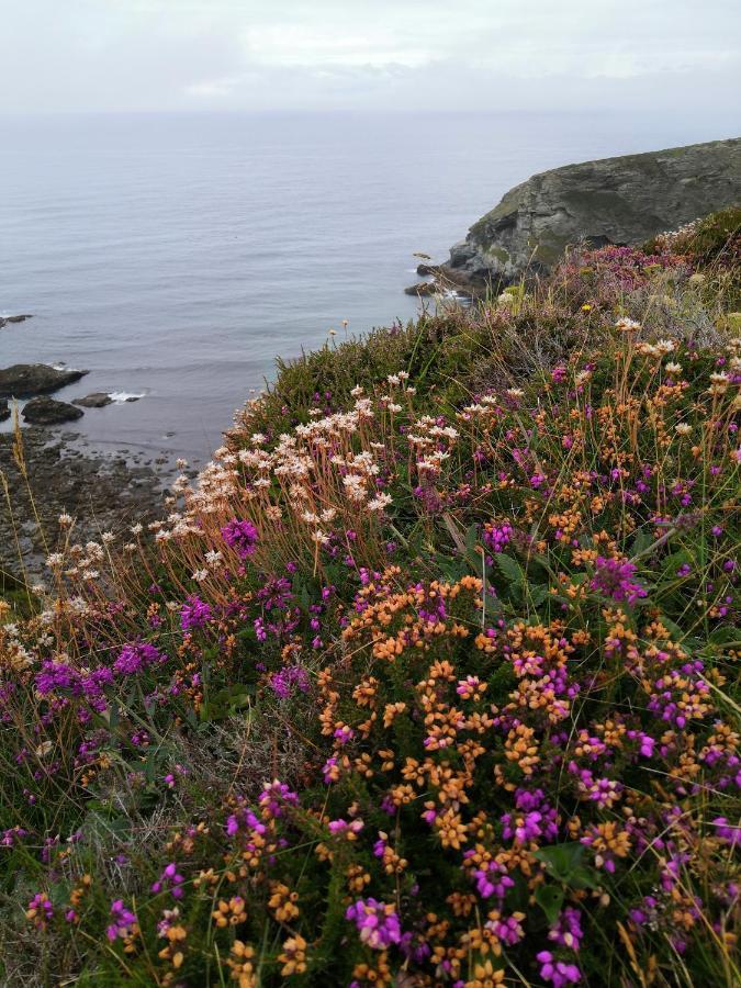 Captivating Isolde Cottage With Pool Near St Ives แคมบอร์น ภายนอก รูปภาพ